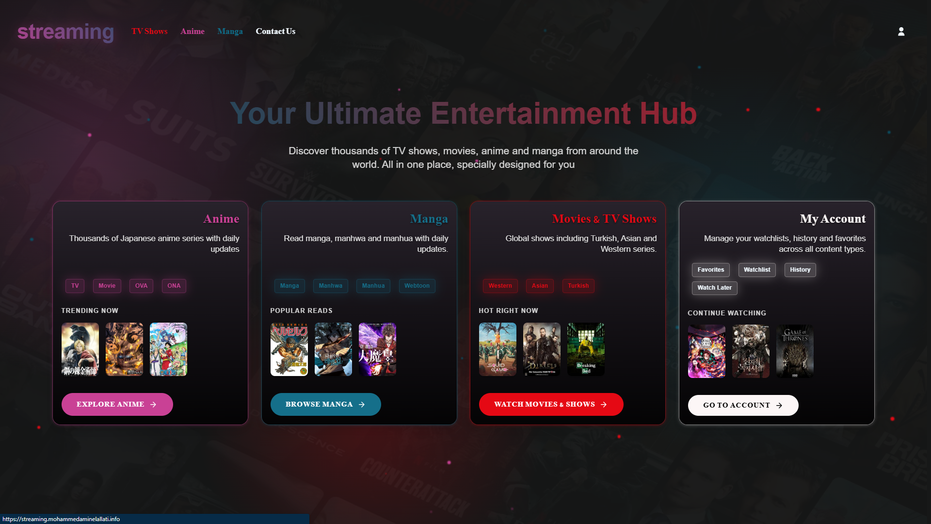 Streaming Platform project screenshot